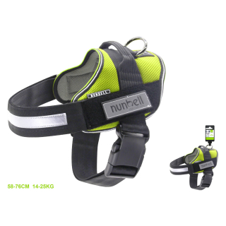 Postroj ComfortFit pro psy Nunbell - zelený L